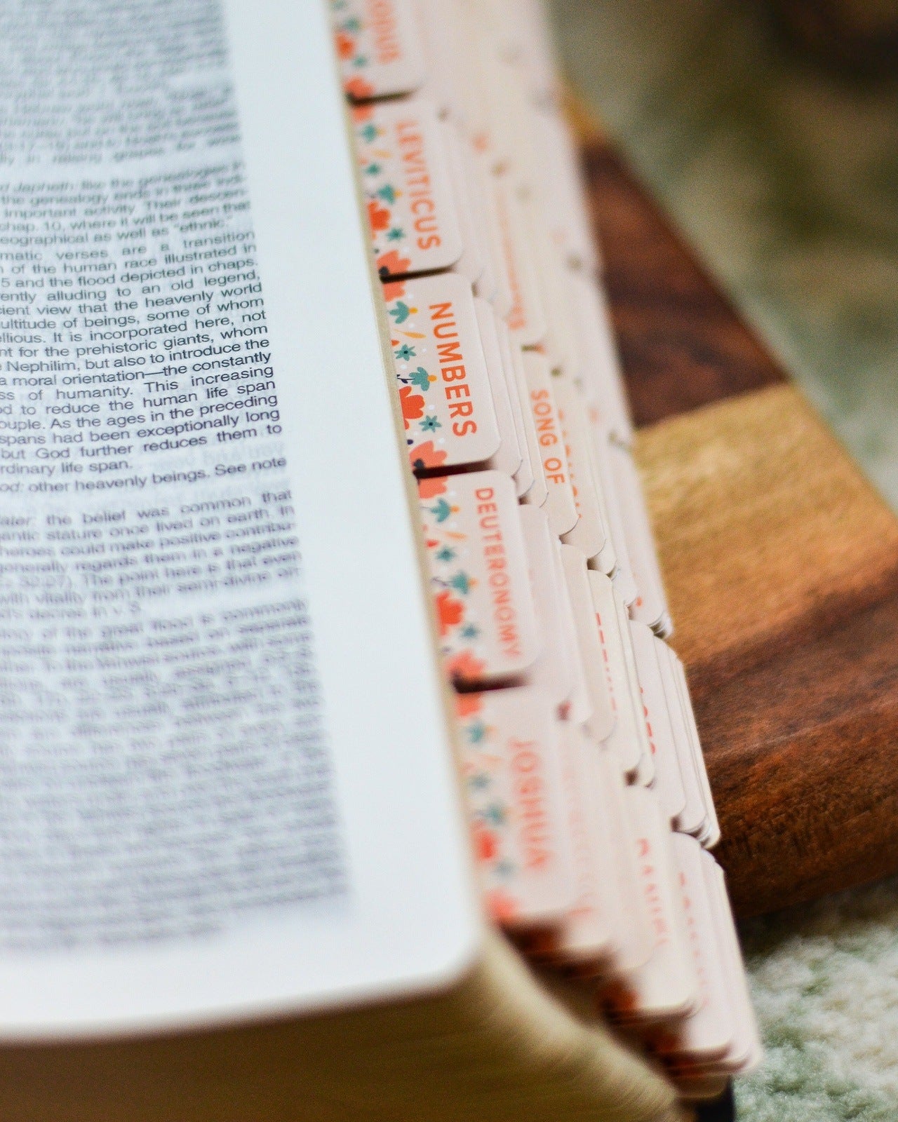 How the Wild Flowers Grow Catholic Bible Tabs - Little Way Design Co.