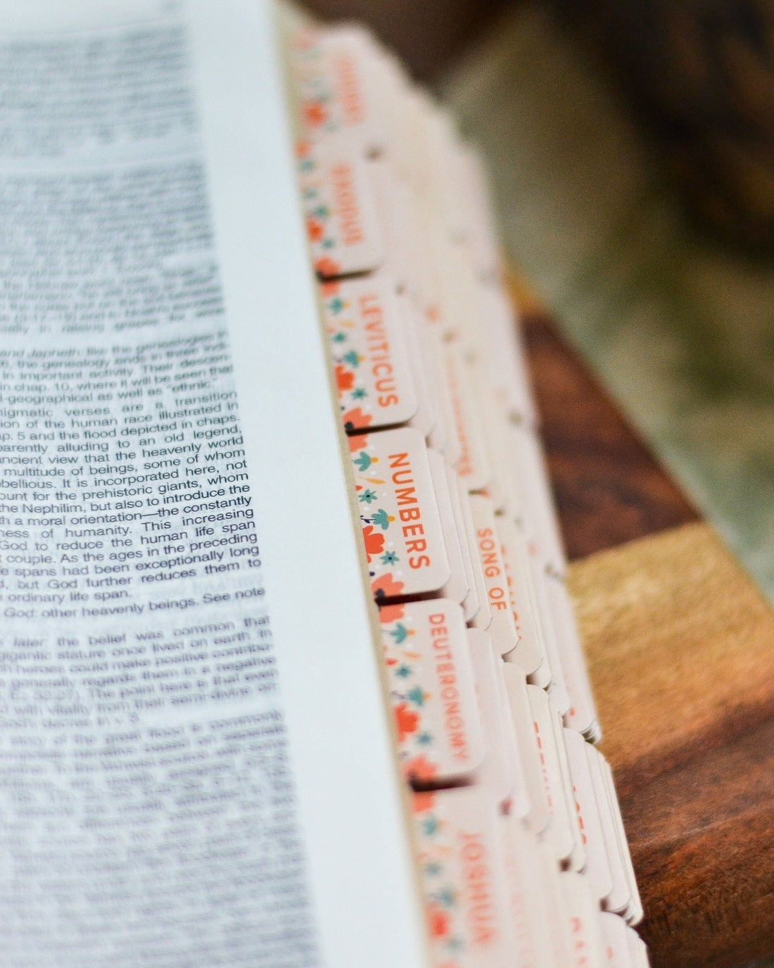 How the Wild Flowers Grow Catholic Bible Tabs - Little Way Design Co.