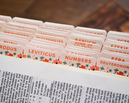 How the Wild Flowers Grow Catholic Bible Tabs - Little Way Design Co.